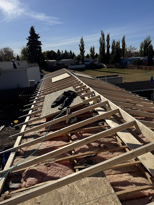 Roof framing under construction